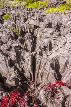 The Tsingy of Ankarana Stock Photos
