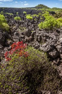 The Tsingy of Ankarana Stock Photos