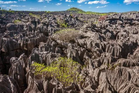The Tsingy of Ankarana Stock Photos