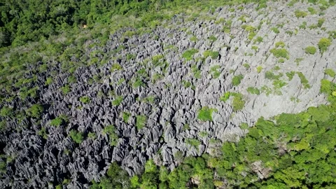 Tsingy - Ankarana Special Reserve is a protected area in northern Madagascar Stock-Footage 246955860