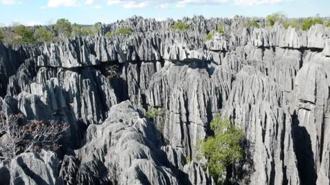 Tsingy de Bemaraha, Madagascar Stock Photos
