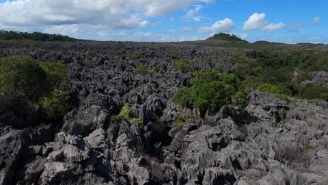 Tsingy rary landscape with eroded limestone karst in Ankarana park Video stock 312707005