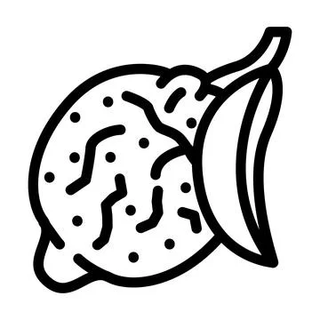 Tsitron maxima line icon vector illustration Stock Illustration