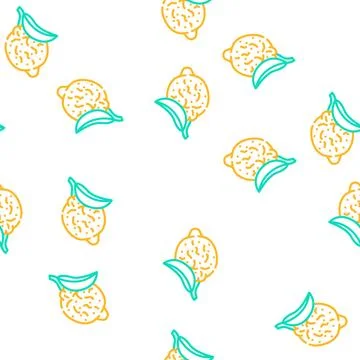 Tsitron maxima vector seamless pattern Illustrazione stock