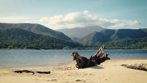 Tsitsikamma de vaselot section beach Video stock 83640656