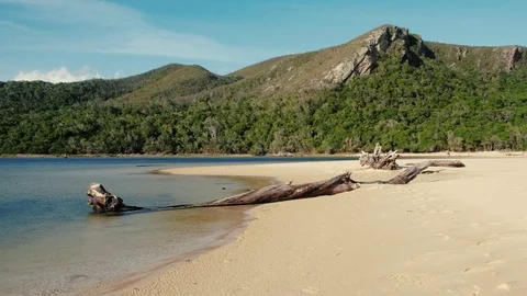 Tsitsikamma de vaselot section Stock Footage 83639769