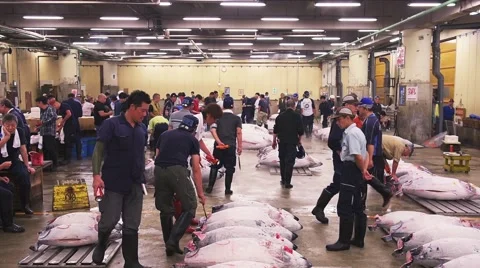 Tsukiji Fish Market Stock Footage 64648566