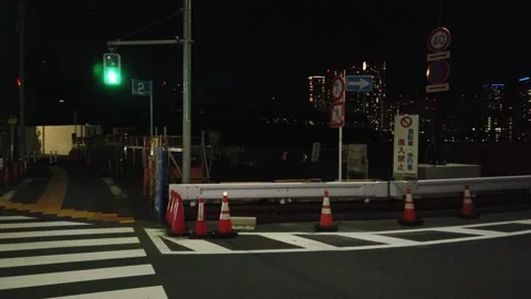 Tsukiji Night View Video stock 148186969