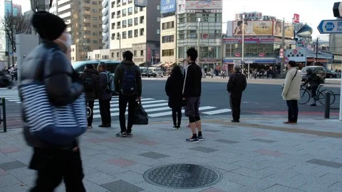 TSUKIJI OUTER MARKET SCENE Stock-Footage 84500499