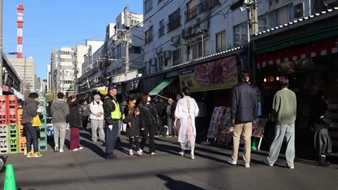 Tsukiji Outer Market in Tokyo Stock Footage 328387053