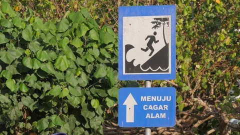 Tsunami evacuation board and trees in Pangandaran Java Indonesia Video stock 81921628