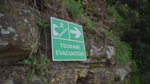 Tsunami evacuation route sign indicating direction Stock Footage 339183629