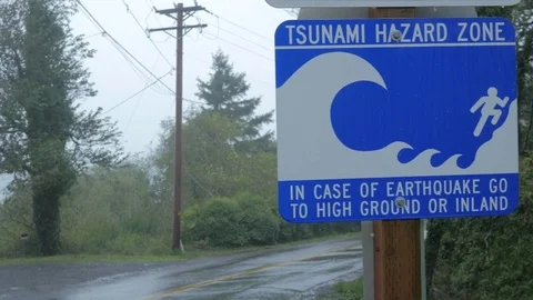 TSUNAMI HAZARD ZONE SIGN. Stock-Footage 81664814