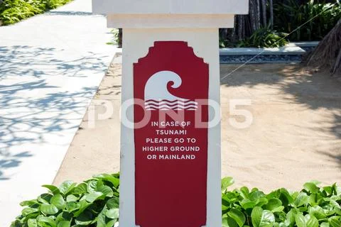 Tsunami roadsign pointing towards the stunami evacuation route, escape plam in Stock Photos
