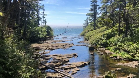 Tsusiat Falls river view Stock Footage 111053419