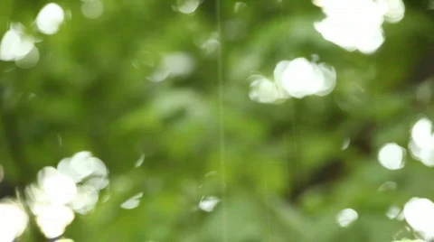 TTm-090525-0002 Stock Footage 641618