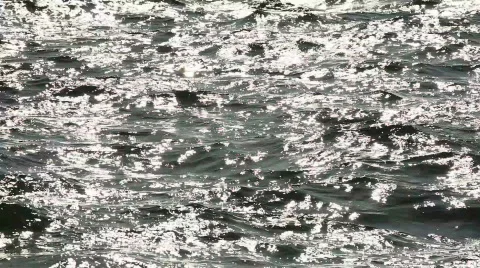 TTm-090904-0025 Stock Footage 656500