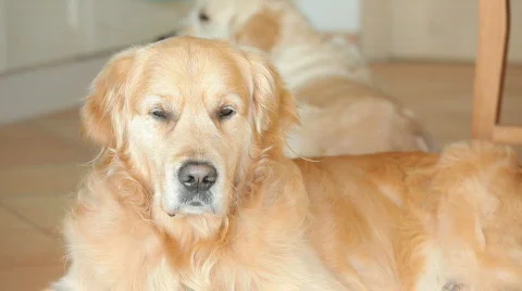 TTm-091210-0010 Video stock 657940