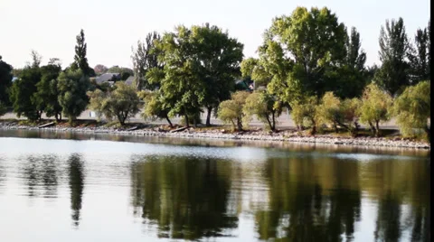 Ttrees  lengthwise River Stock Footage 30605241