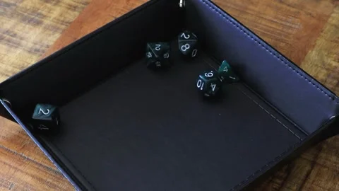 TTRPG dice rolling in a dice tray Stock Footage 335945743
