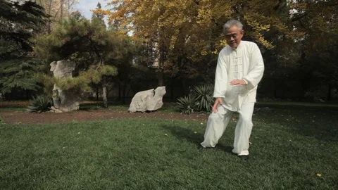 TU WS PAN Mature man doing Tai Chi in park / China Stock Footage 69945686