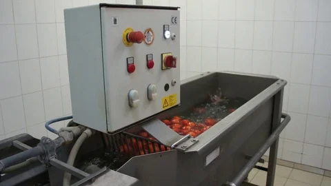 Tub for washing vegetable Video stock 81017046