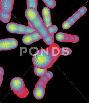 Tuberculosis bacteria, artwork Stock Illustration