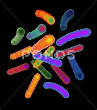 Tuberculosis bacteria, artwork Stock Illustration