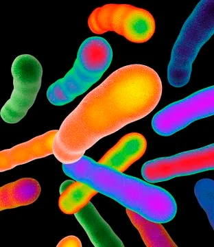 Tuberculosis bacteria, artwork Stock Illustration