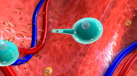 Tuberculosis  Bacteria Stock Footage 64587290