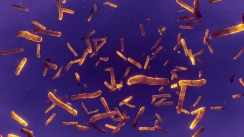 Tuberculosis bacteria Stock Footage 284119714
