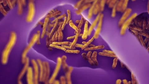 Tuberculosis bacteria Stock Footage 321895109