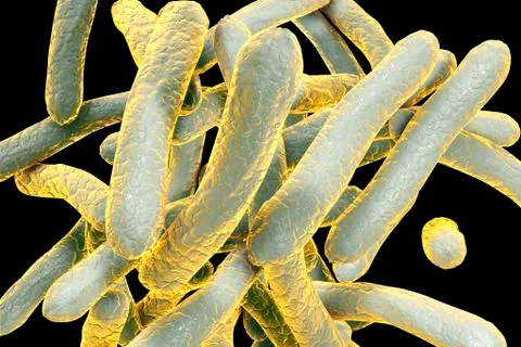 Tuberculosis bacteria, illustration Stock-Illustration