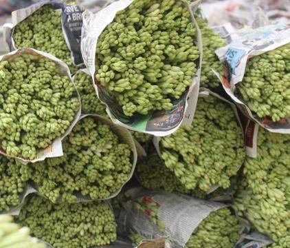 Tuberose bunch Stock Photos