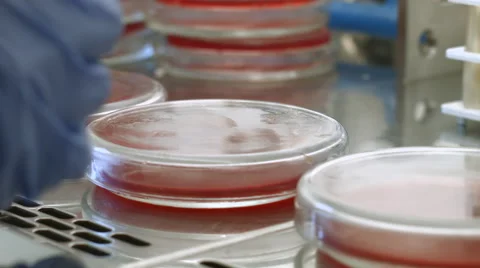 Tubes in lab Stock-Footage 52033101