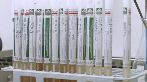 Tubes in laboratory Video stock 52031649