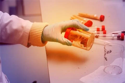 Tubes in laboratory 스톡 사진