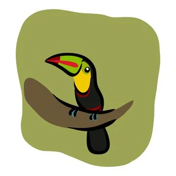 Tucan bird vector illustration Stock Illustration