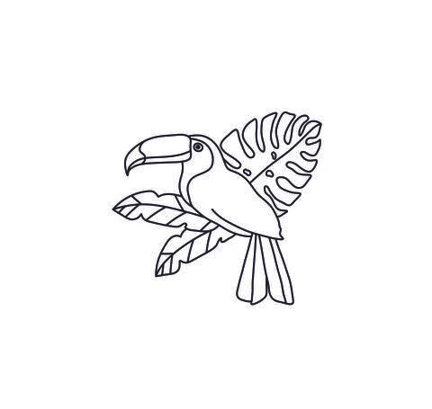Tucan Stock Illustration