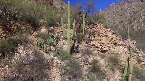 Tucson Canyon Video stock 61306113