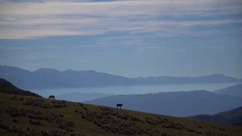 Tucumanos hills, mountain range pre Andes mountain range with horses 스톡 동영상 123799512