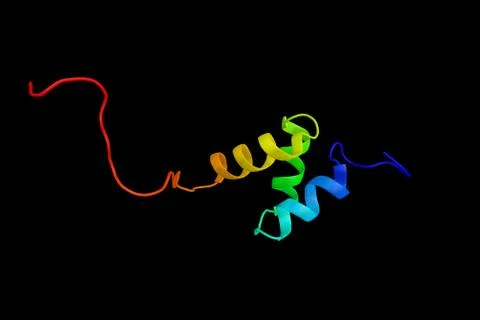 Tudor domain-containing protein 3, a protein that in humans is encoded by t.. Illustration