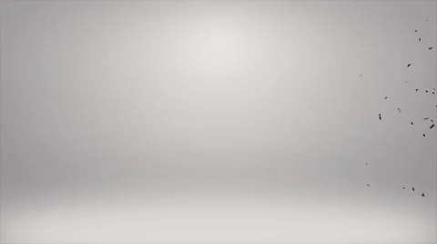 Tuesday Text Animation Видео 66113055