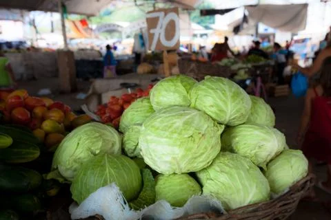 Tuft of cabbage Foto stock
