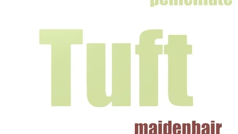 Tuft Tag Cloud Animated Isolated Vidéo 107245687
