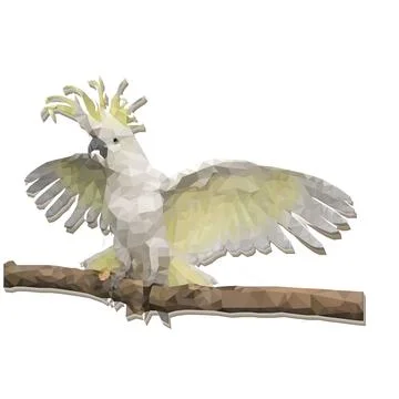 Tufted cockatoo. Stock Illustration