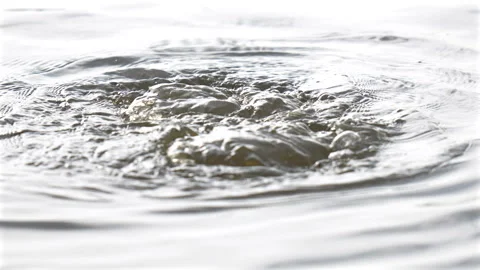 Tufted Duck Diving Vidéo 330246077