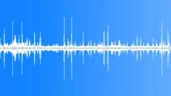 Tufted Puffin CU FlightSound Effect