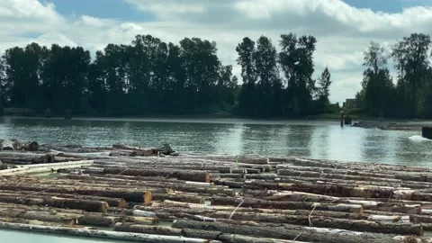 Tug Boat Stock Footage 138541032