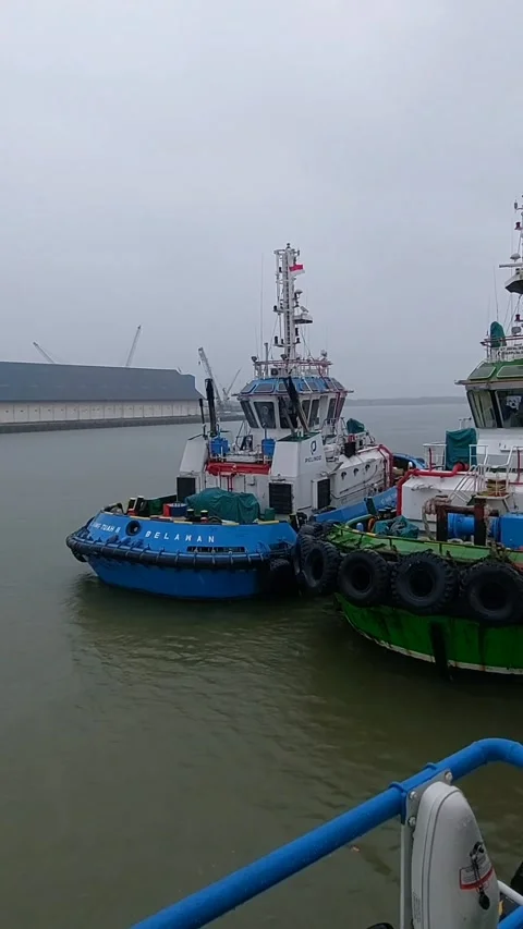 TUG BOAT STANDBY Video stock 228733601